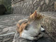 -鸿山公园