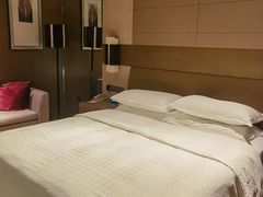 -扬州绿地铂骊酒店