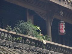 -黄龙溪古镇
