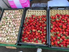 -南坛综合农贸市场