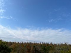 -东平国家森林公园