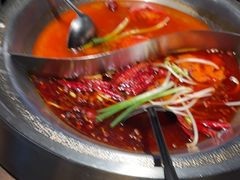 -辣伍鲜毛肚老火锅(元一店)