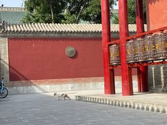-大召寺明清一条街