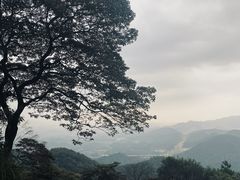 -黄埔油麻山森林公园