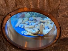 -辉哥火锅(虹桥路店)