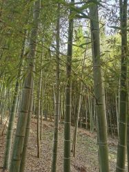 -莫奈庄园·儿童摄影馆·影视基地(江宁店)