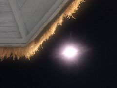 -胖大嫂渔家排档·全海景餐厅(渔村店)