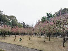 -船政文化景区-罗星塔公园