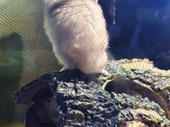 -太平洋海底世界