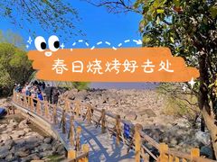 -吴淞炮台湾湿地森林公园烧烤区