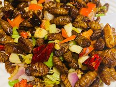 爆炒蚕蛹-燕青小馆(东园大厦店)