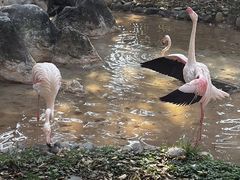 -昆明动物园