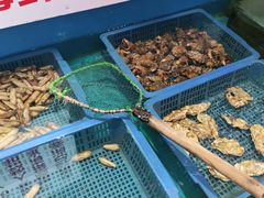 -兄弟爬爬虾(北京路店)