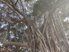 -青城公园