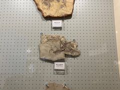 -辽宁古生物博物馆