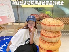 -VT101维多利广场