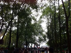 iphone_upload_pic-成都大熊猫繁育研究基地