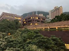 -香港大学