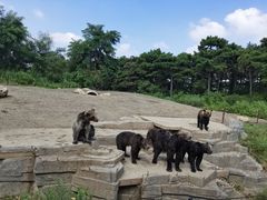 -沈阳森林动物园