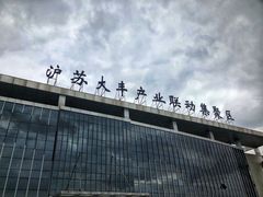 -荷兰花海