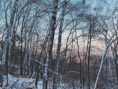 -中旅松花湖滑雪场
