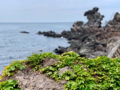 -龙头岩(Dragon Head Rock)