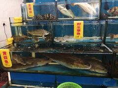 -渔中舟海鲜大排档(普陀沈家门店)