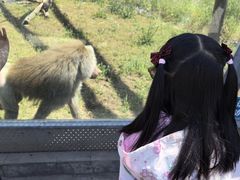 -太原动物园