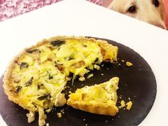 -百好乐宠物友好餐厅(朝外大街店)