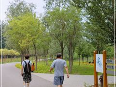 -东郊湿地公园