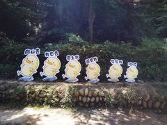 -终南山南五台景区