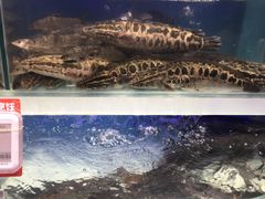-盒马鲜生(财富中心店)