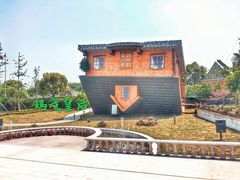 -金山农民画村-枫泾波兰倒置屋