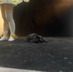 -星元素cosplay动漫摄影写真工作室