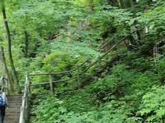 -西安祥峪森林公园