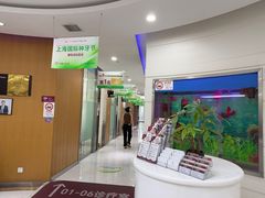 -雅悦齿科(顾村公园店)