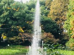 -上海共青森林公园