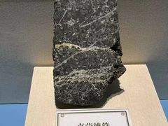 -辽宁古生物博物馆