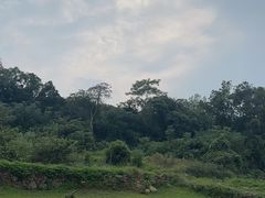 -巢湖姥山岛