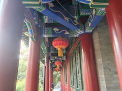 -宣武艺园