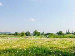 -良渚古城遗址公园
