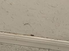 -甜心闲生传统手工冰粉(人民广场店)