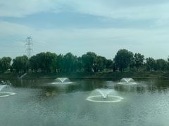 -尚庄度假村·庭台树下·户外烧烤·团建CS·轰趴营地(上庄水库店)