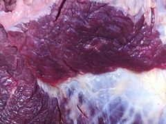 牛肉干的选肉-蒙亘高勒牛肉干(瑞雪小区店)