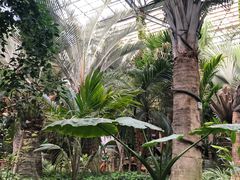 -呀路古热带植物园