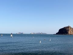 -棒棰岛宾馆景区