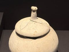 -上海崧泽遗址博物馆