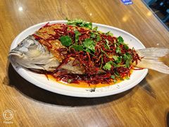 -向民炒鸡老店(金泰华府店)
