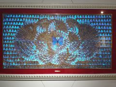 -上海昆虫博物馆