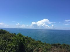 -广东惠东海龟国家级自然保护区